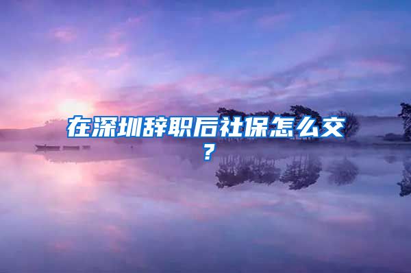 在深圳辞职后社保怎么交？