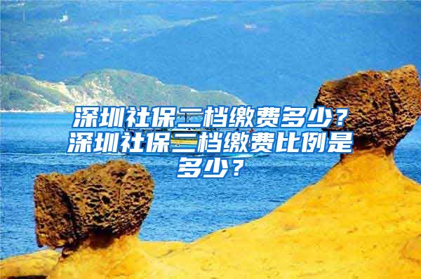 深圳社保二档缴费多少？深圳社保二档缴费比例是多少？