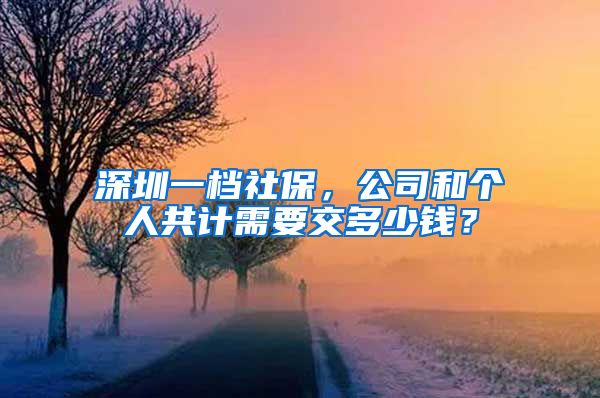 深圳一档社保，公司和个人共计需要交多少钱？