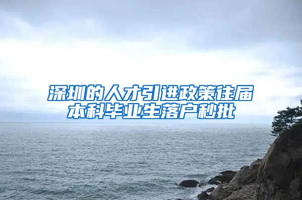 深圳的人才引进政策往届本科毕业生落户秒批