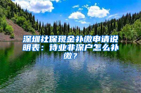 深圳社保现金补缴申请说明表：待业非深户怎么补缴？