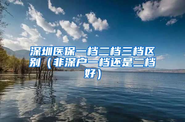 深圳医保一档二档三档区别（非深户一档还是二档好）