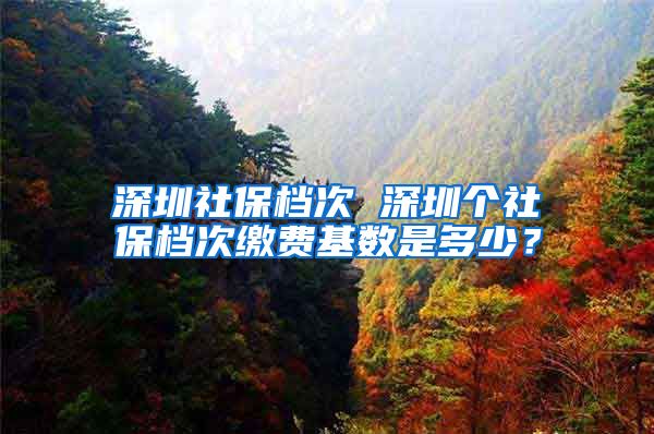 深圳社保档次 深圳个社保档次缴费基数是多少？