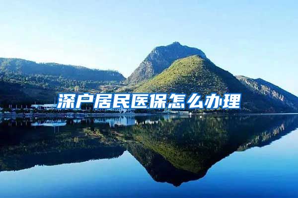 深户居民医保怎么办理