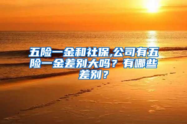 五险一金和社保,公司有五险一金差别大吗？有哪些差别？