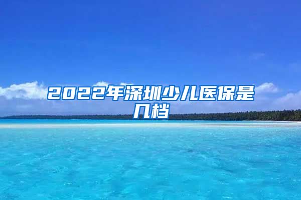 2022年深圳少儿医保是几档