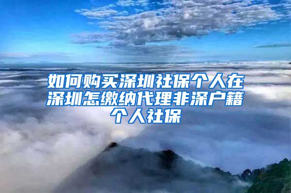 如何购买深圳社保个人在深圳怎缴纳代理非深户籍个人社保