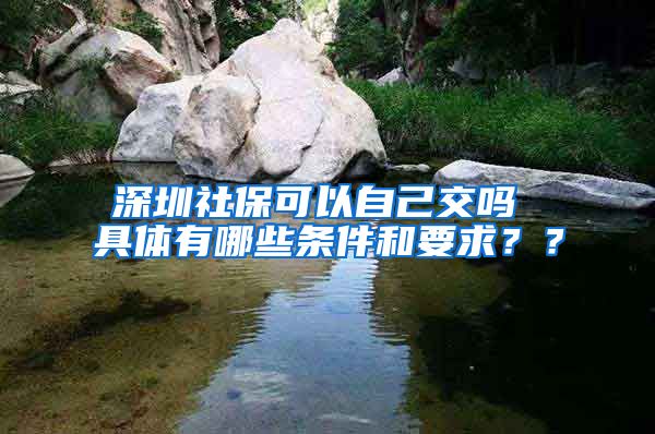 深圳社保可以自己交吗 具体有哪些条件和要求？？