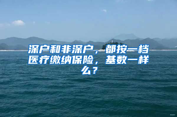 深户和非深户，都按一档医疗缴纳保险，基数一样么？