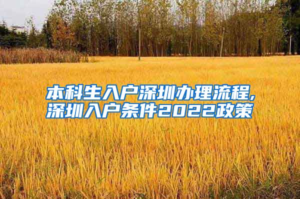 本科生入户深圳办理流程,深圳入户条件2022政策