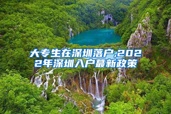 大专生在深圳落户,2022年深圳入户蕞新政策