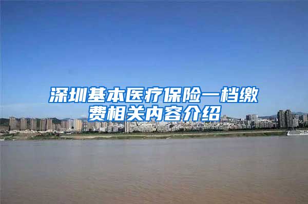 深圳基本医疗保险一档缴费相关内容介绍