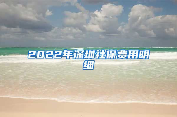 2022年深圳社保费用明细