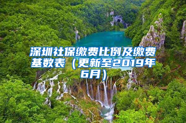 深圳社保缴费比例及缴费基数表（更新至2019年6月）