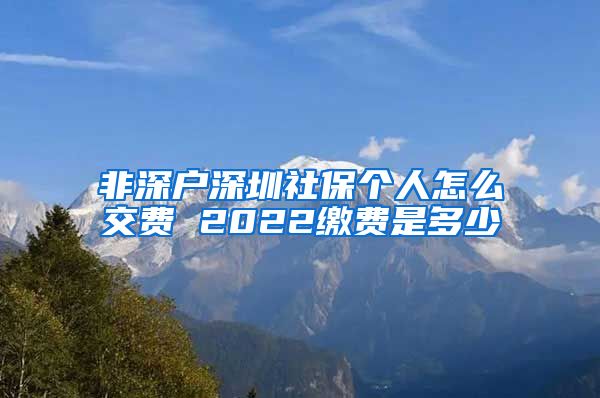 非深户深圳社保个人怎么交费 2022缴费是多少