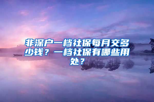 非深户一档社保每月交多少钱？一档社保有哪些用处？