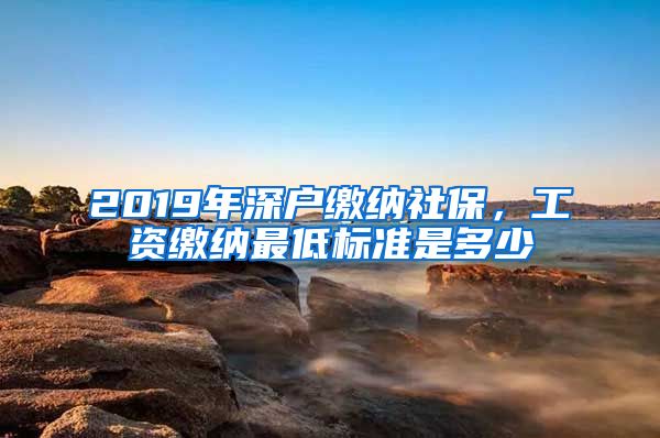 2019年深户缴纳社保，工资缴纳最低标准是多少