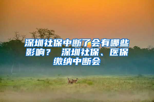 深圳社保中断了会有哪些影响？ 深圳社保、医保缴纳中断会