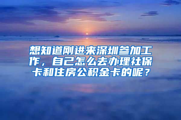 想知道刚进来深圳参加工作，自己怎么去办理社保卡和住房公积金卡的呢？