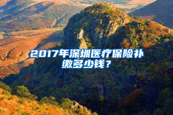 2017年深圳医疗保险补缴多少钱？