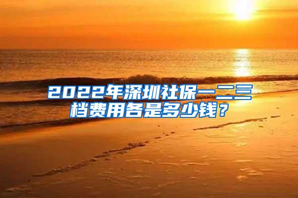 2022年深圳社保一二三档费用各是多少钱？