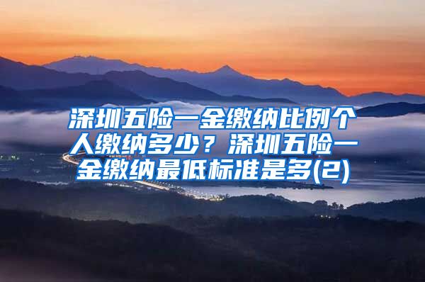 深圳五险一金缴纳比例个人缴纳多少？深圳五险一金缴纳最低标准是多(2)