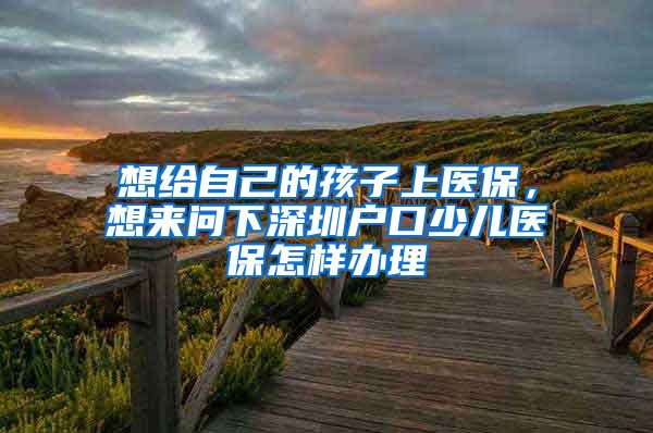 想给自己的孩子上医保，想来问下深圳户口少儿医保怎样办理