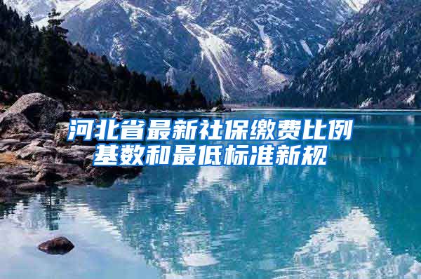 河北省最新社保缴费比例基数和最低标准新规