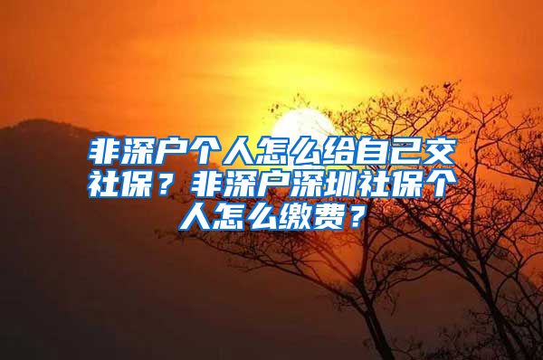 非深户个人怎么给自己交社保？非深户深圳社保个人怎么缴费？