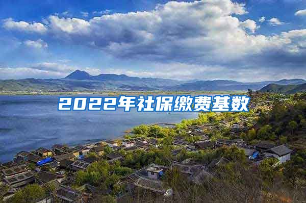 2022年社保缴费基数