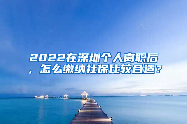 2022在深圳个人离职后，怎么缴纳社保比较合适？