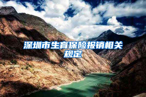 深圳市生育保险报销相关规定