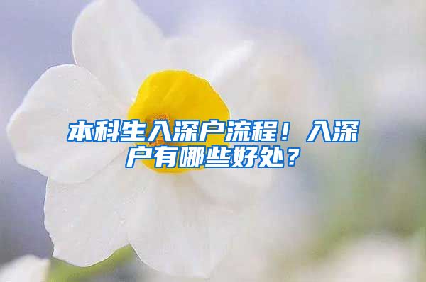 本科生入深户流程！入深户有哪些好处？