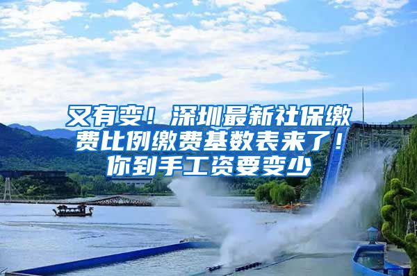 又有变！深圳最新社保缴费比例缴费基数表来了！你到手工资要变少