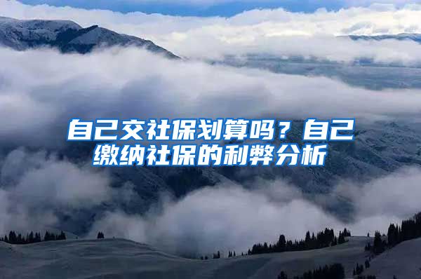 自己交社保划算吗？自己缴纳社保的利弊分析