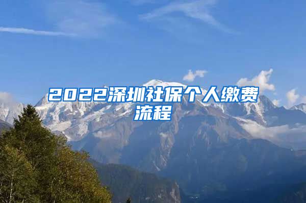 2022深圳社保个人缴费流程