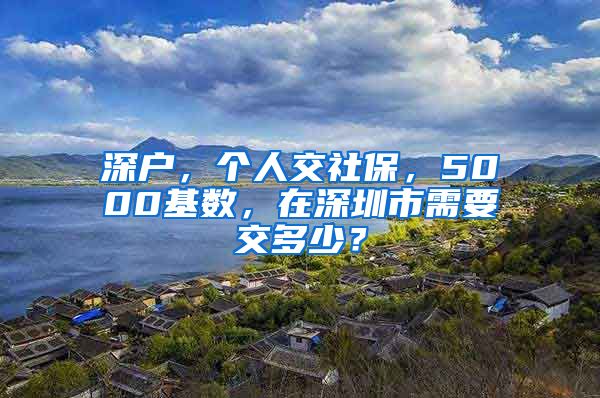 深户，个人交社保，5000基数，在深圳市需要交多少？