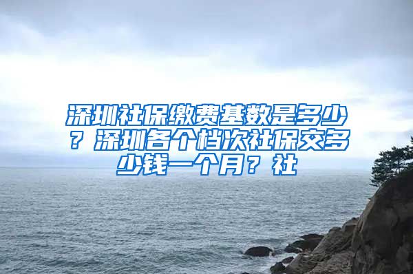 深圳社保缴费基数是多少？深圳各个档次社保交多少钱一个月？社