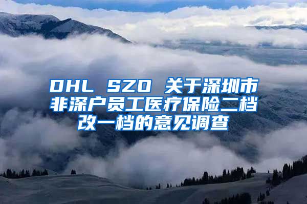 DHL SZO 关于深圳市非深户员工医疗保险二档改一档的意见调查