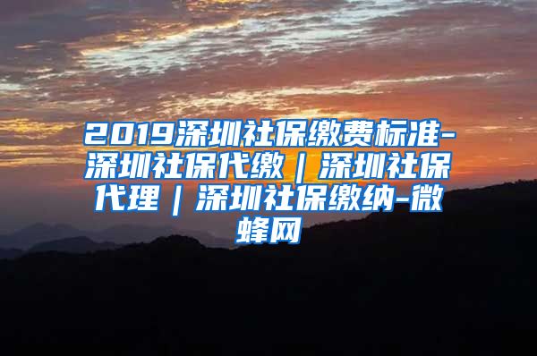 2019深圳社保缴费标准-深圳社保代缴｜深圳社保代理｜深圳社保缴纳-微蜂网