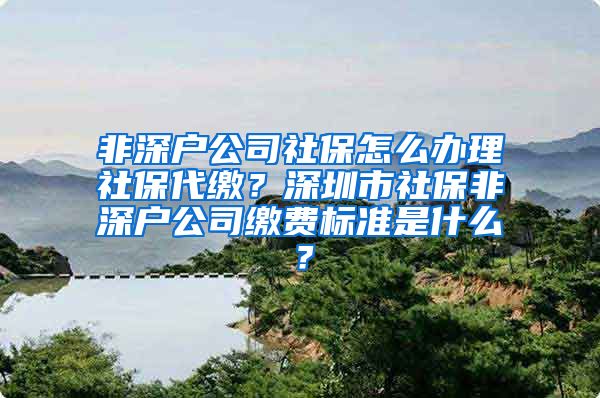 非深户公司社保怎么办理社保代缴？深圳市社保非深户公司缴费标准是什么？