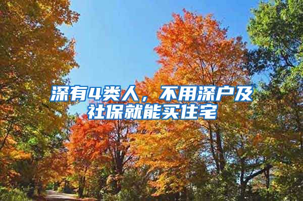 深有4类人，不用深户及社保就能买住宅