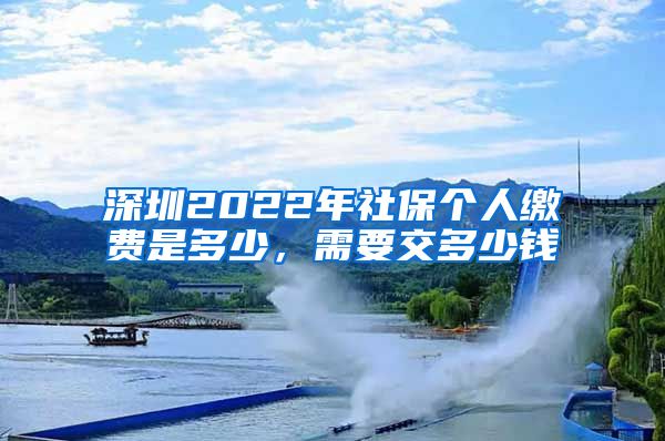 深圳2022年社保个人缴费是多少，需要交多少钱