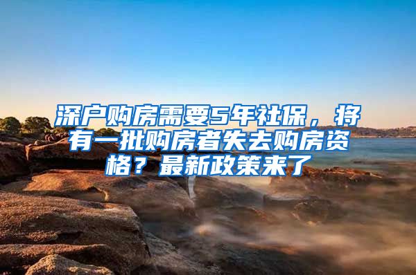 深户购房需要5年社保，将有一批购房者失去购房资格？最新政策来了