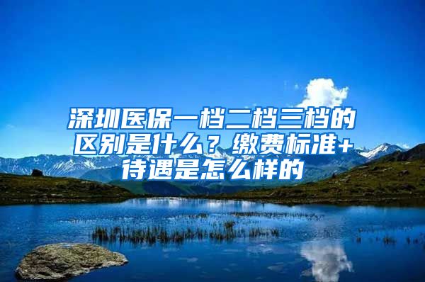 深圳医保一档二档三档的区别是什么？缴费标准+待遇是怎么样的