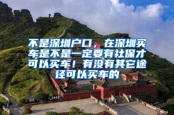 不是深圳户口，在深圳买车是不是一定要有社保才可以买车！有没有其它途径可以买车的