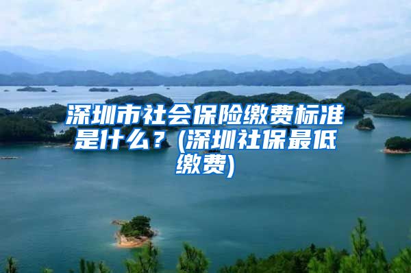 深圳市社会保险缴费标准是什么？(深圳社保最低缴费)