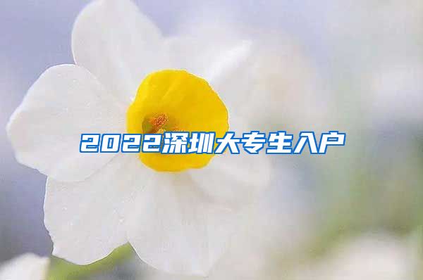 2022深圳大专生入户