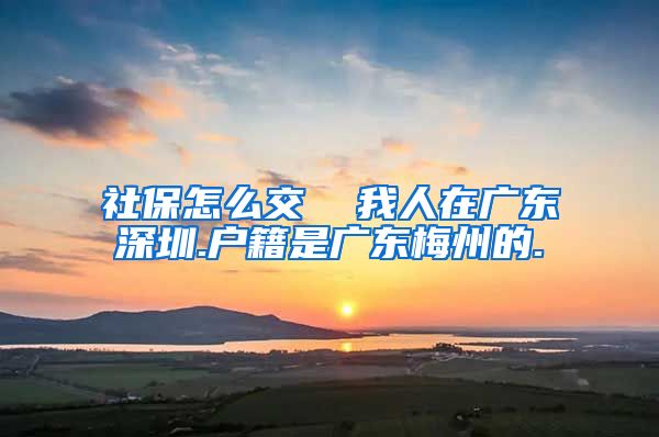 社保怎么交  我人在广东深圳.户籍是广东梅州的.