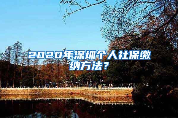 2020年深圳个人社保缴纳方法？